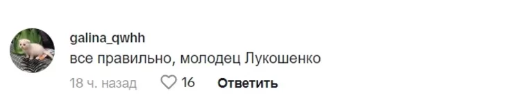 Bots react to the announcement of increased security measures in Minsk Боты реагируют на объявление об усилении мер безопасности в Минске Боты рэагуюць на паведамеленне аб узмацненні мер бяспекі ў Мінску