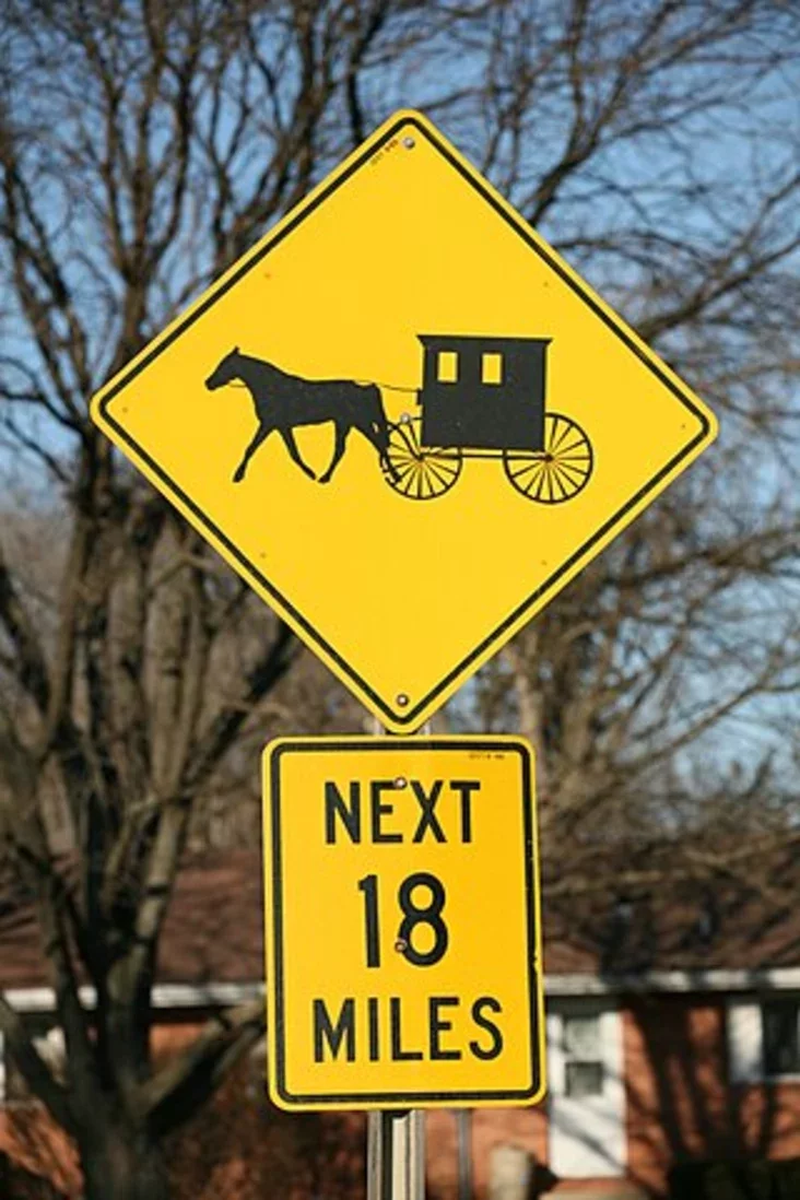 These road signs are placed in Amish areas. Такія дарожныя знакі ставяць у месцах пражывання амішаў. Такие дорожные знаки ставят в местах проживания амишей 