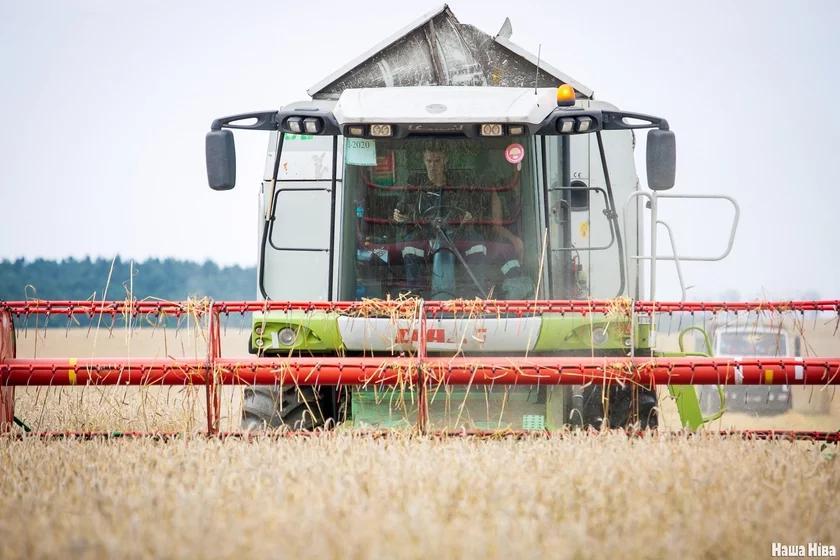 Grain harvest