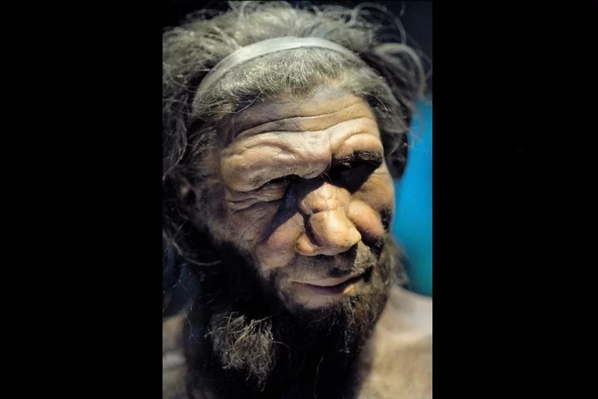 Neanderthal man reconstruction Riekonstrukcija nieandiertalca Rekanstrukcyja nieandertalca