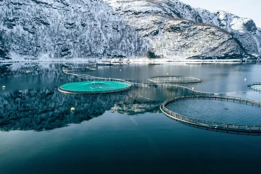 fish farm in Norway рыбная ферма ў Нарвегіі рыбная ферма в Норвегии 