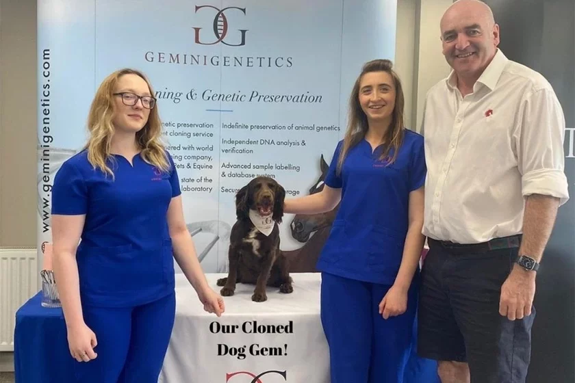 British laboratory Geminin Genetics offers pet cloning services Британская лаборатория Geminin Genetics предлагает услуги по клонированию домашних животных Брытанская лабараторыя Geminin Genetics прапануе паслугі па кланаванні хатніх гадаванцаў